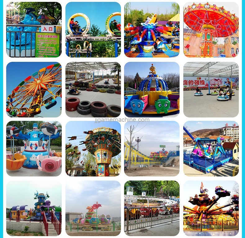 large amusement park case